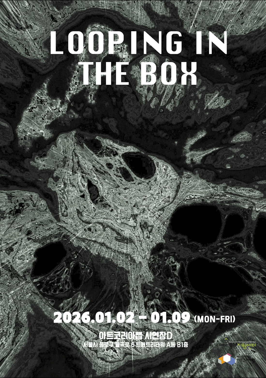 Looping in the Box exhibition poster