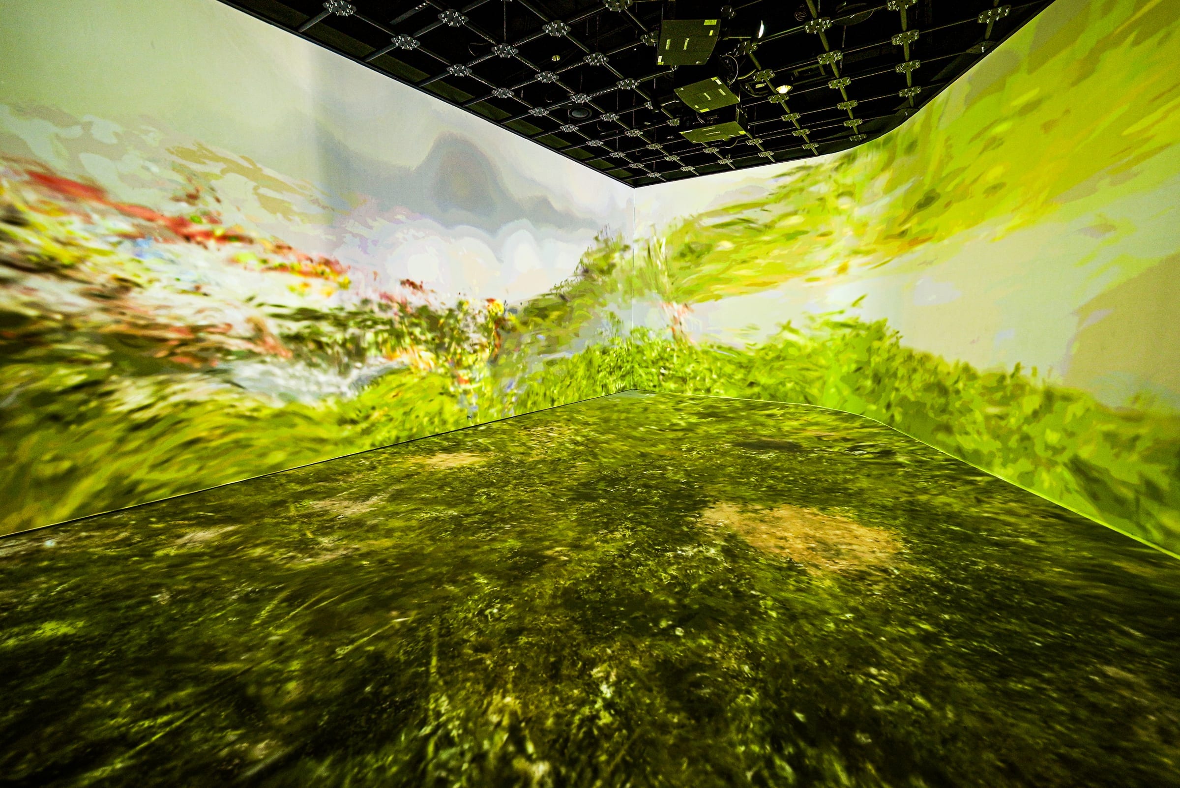 Four-wall projection filling the exhibition room